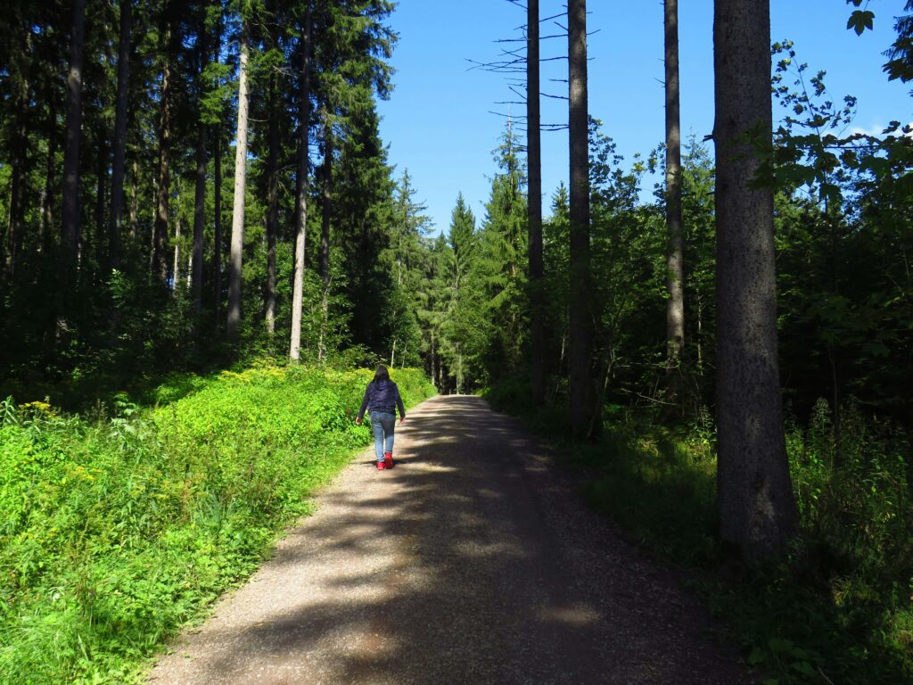 A legjobb balatoni-tanösvények