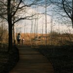 12 vadregényes tanösvény a Balatonnal