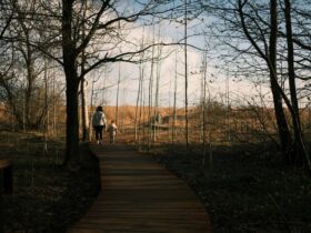 12 vadregényes tanösvény a Balatonnal