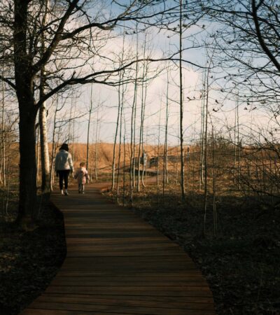 12 vadregényes tanösvény a Balatonnal