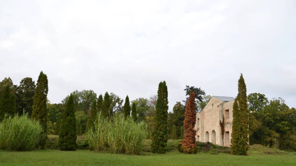 Az alcsúti arborétum 