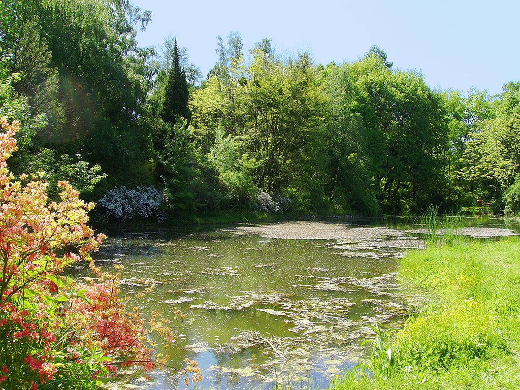 Kámoni Arborétum