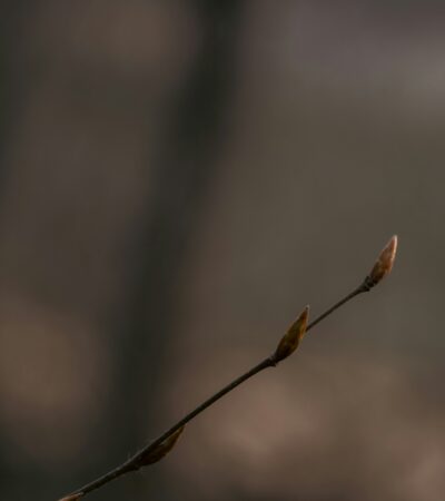 Ha Orfűn jársz ne csak a tavat nézd meg