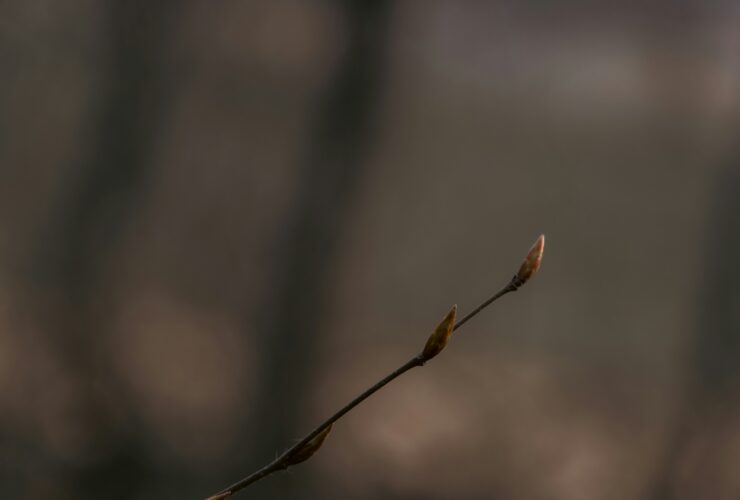 Ha Orfűn jársz ne csak a tavat nézd meg