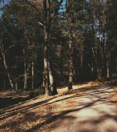 Cuki tanösvények Budapest környékén