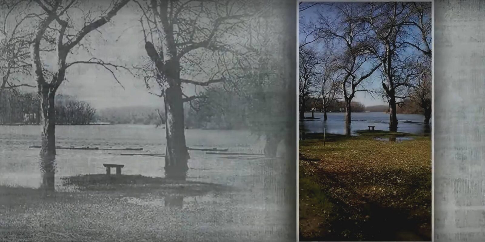 Tanösvény Holt-tisza